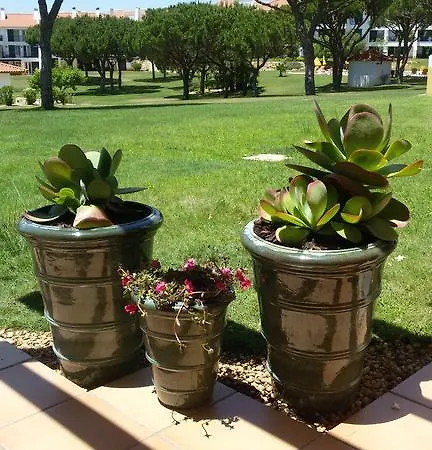 Apartamento Golf De Vila Sol *